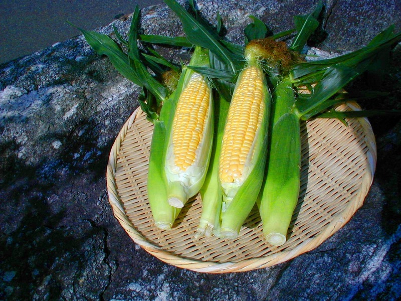 とうもろこしの味来（みらい）