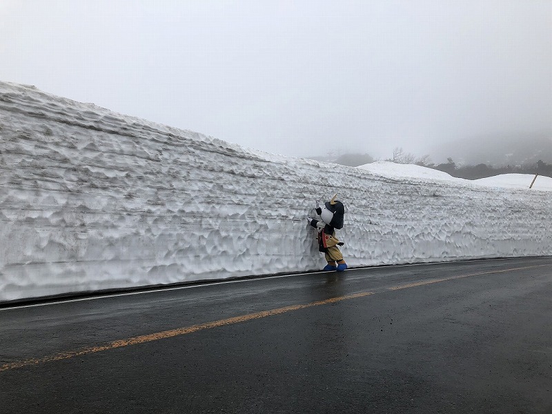 蔵王エコーライン雪の回廊