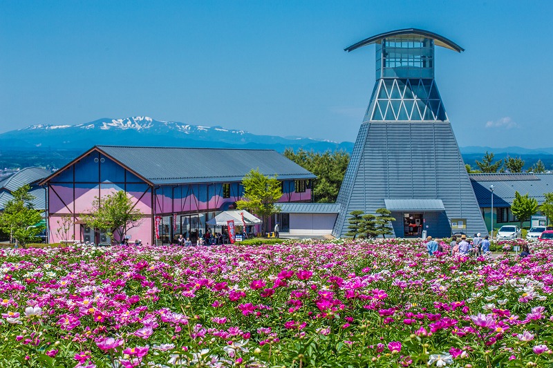 愛宕山公園