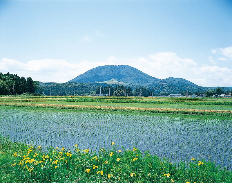 薬萊山