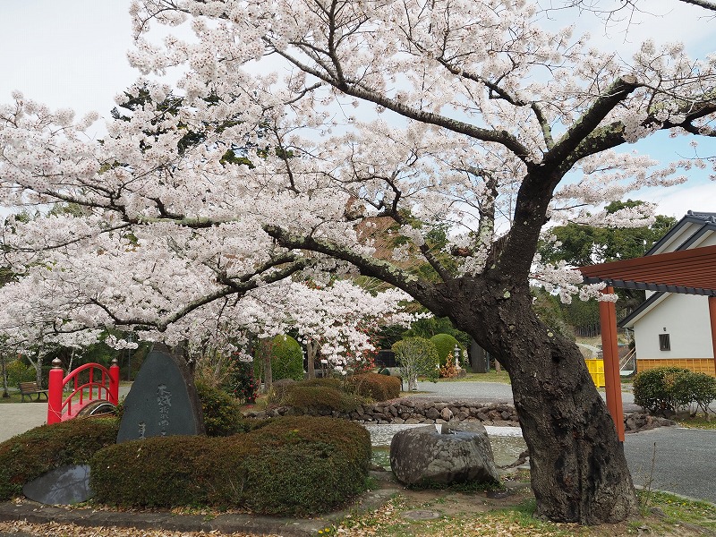 涌谷神社・城山公園