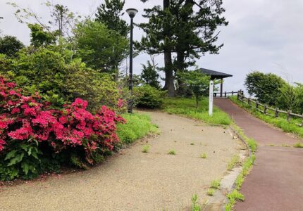 磯崎山公園