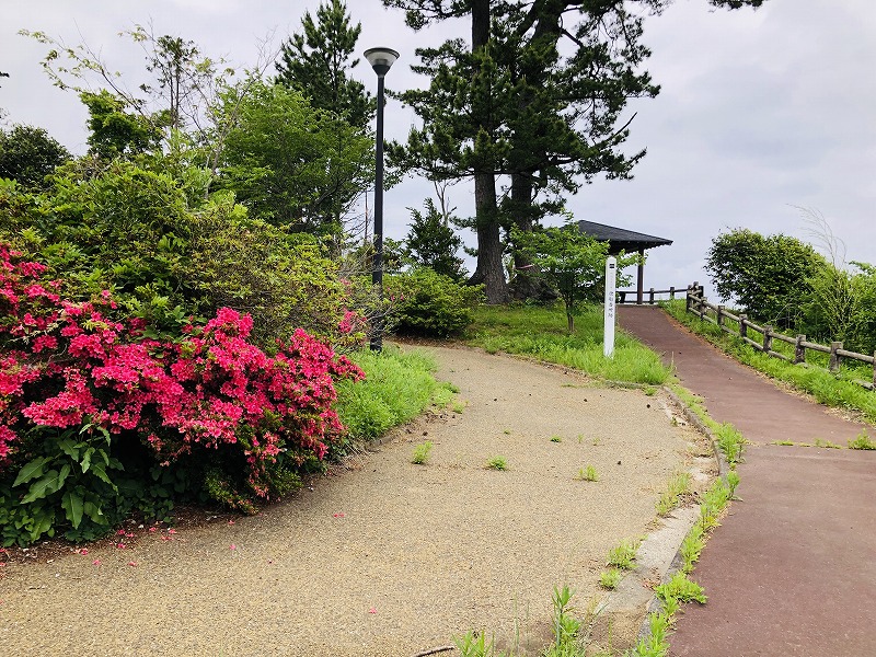 磯崎山公園