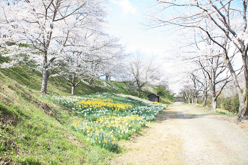 八谷館跡