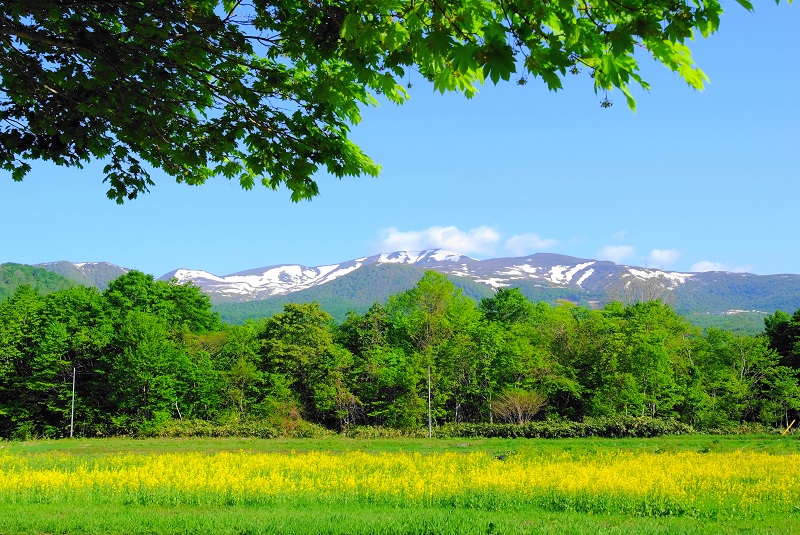 栗駒山登山