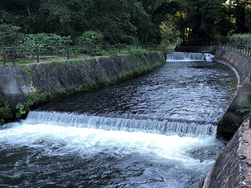 内川(遊歩道)