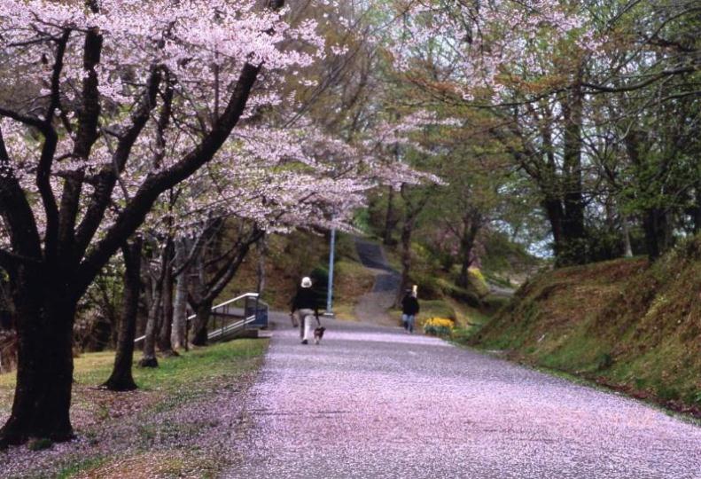 朝日山公園