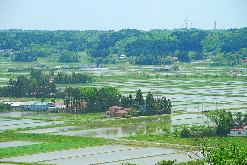 姫松館森林公園