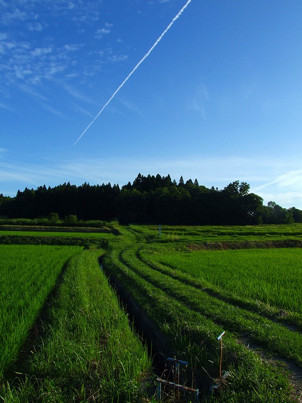 奥の細道（栗原地区）