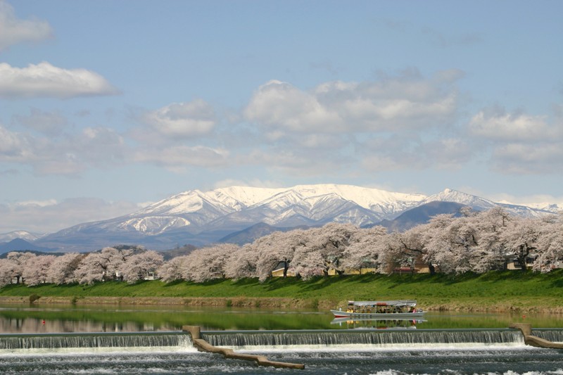 白石川堤一目千本桜