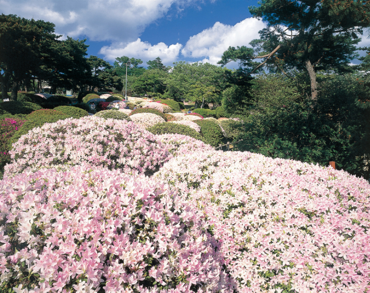 日和山公園