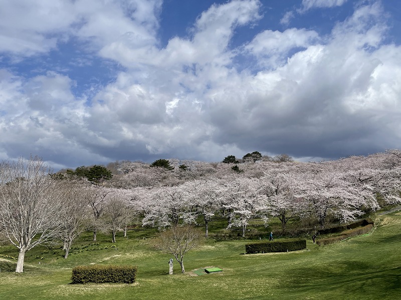 加護坊山