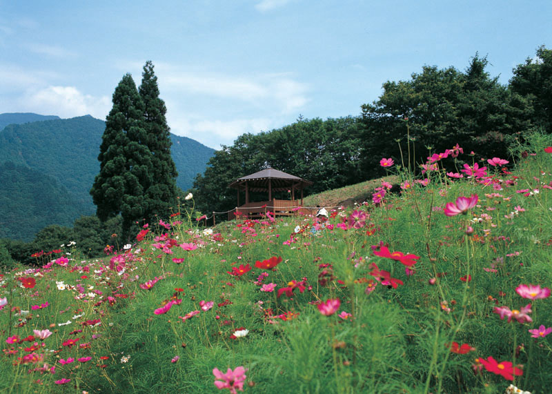 面白山コスモスベルグ