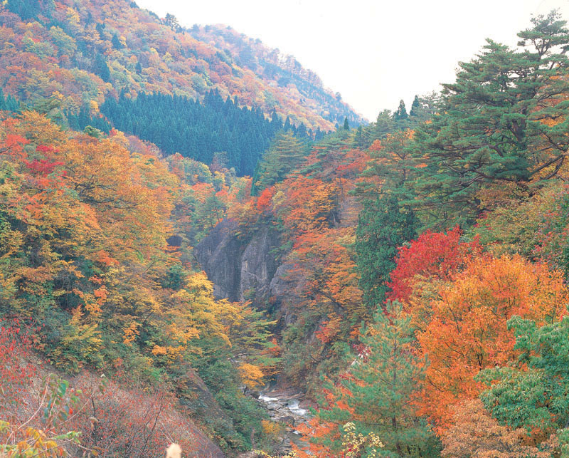 面白山紅葉川渓谷