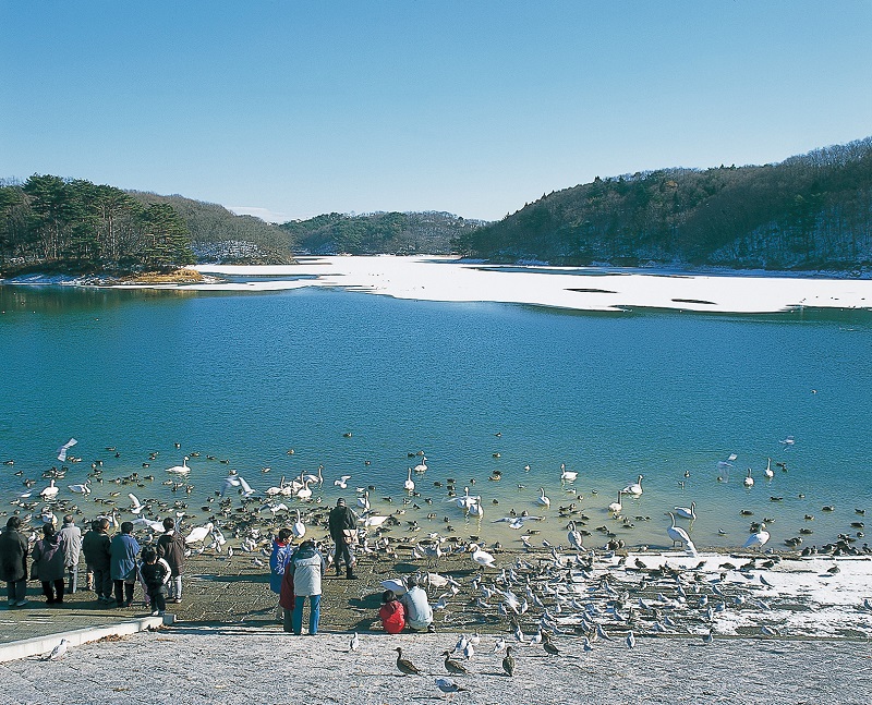 加瀬沼公園