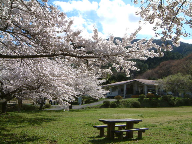 雄勝森林公園