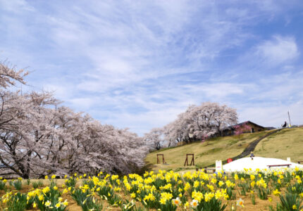 柴田町　太陽の村