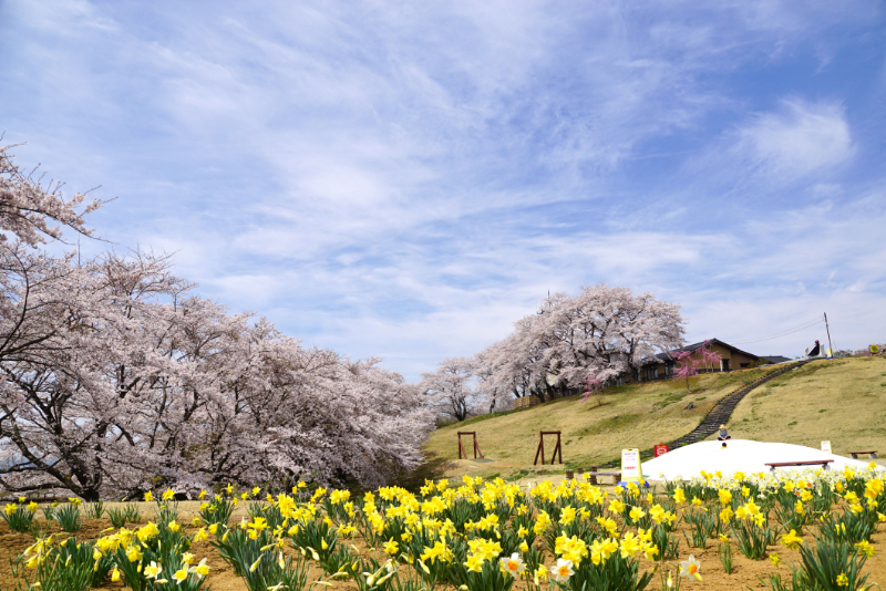 柴田町　太陽の村