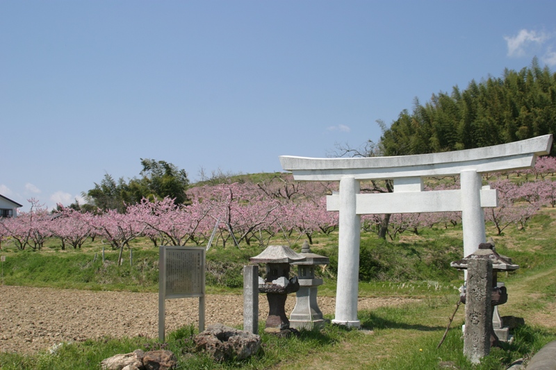 高子岡舘~伊達氏発祥の地~