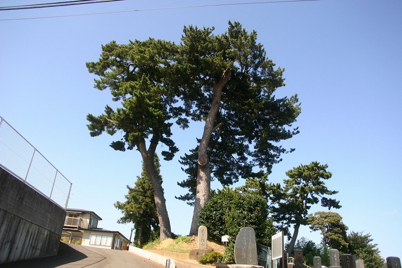 末の松山［歌枕の地］