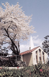 米川カトリック教会