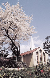 米川カトリック教会