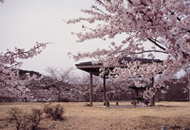 笑沢自然公園