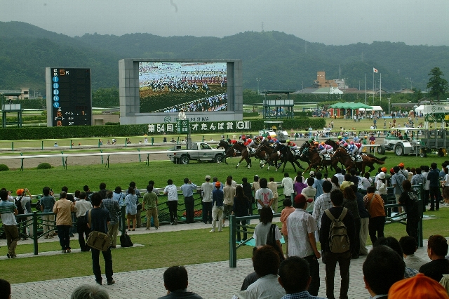 JRA福島競馬場