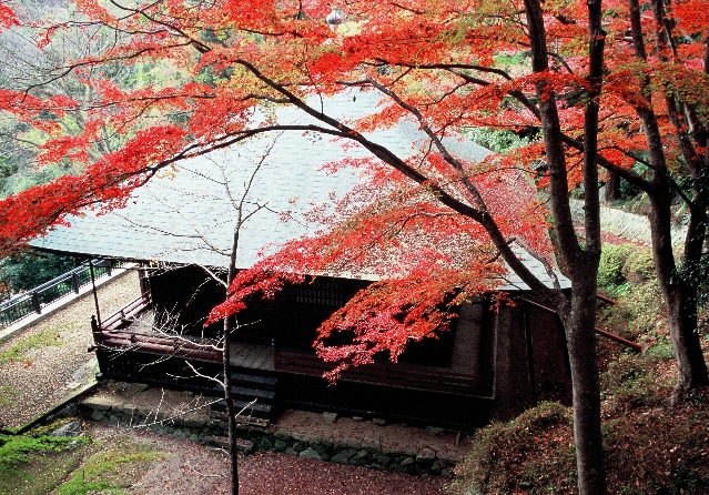 黒岩虚空蔵尊（満願寺）