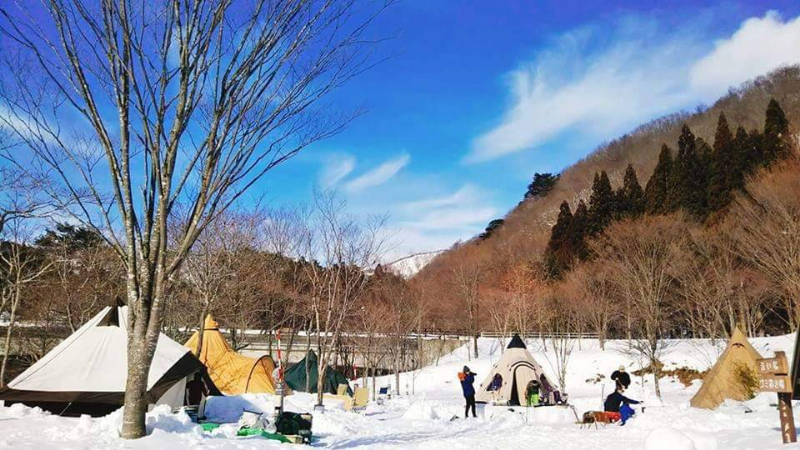 宿泊施設付オートキャンプ場「るぽぽの森」