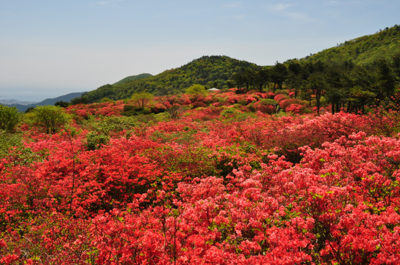 徳仙丈山